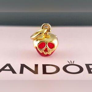 Pandora 1pcs Charm Of your Choice MSG me